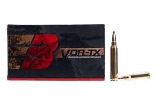 20 rounds of big game hunting ammunition.